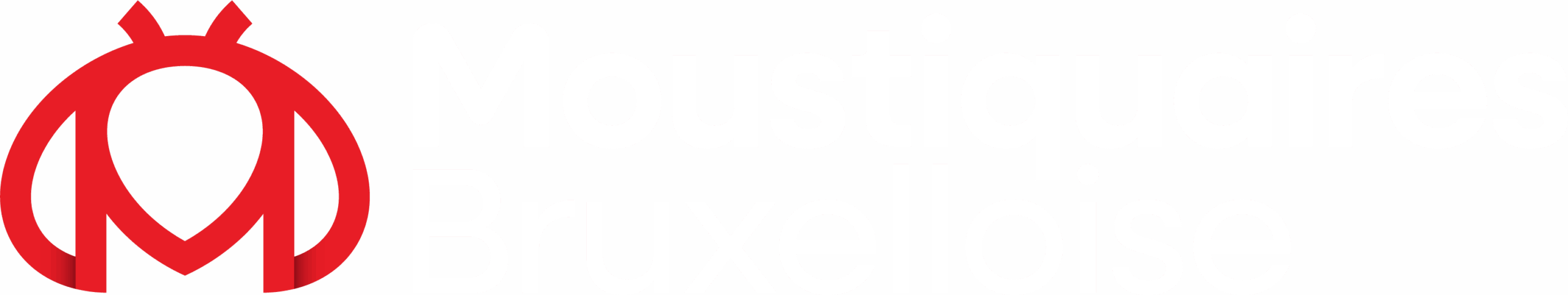Moustiquaire Bruxelles